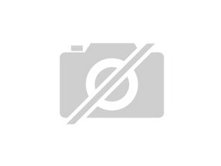 Suche RIngelnatter
